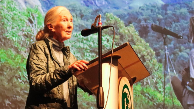 Jane Goodall dalam sebuah forum. (instagram)